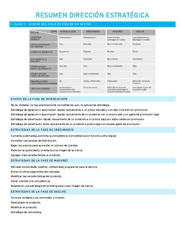 Resumen-Direccion-Estrategica.pdf