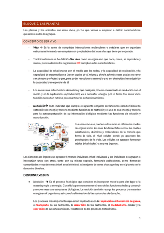 APUNTES-FINALES-NATURALES.-ANIMALES-Y-PLANTAS-1.pdf