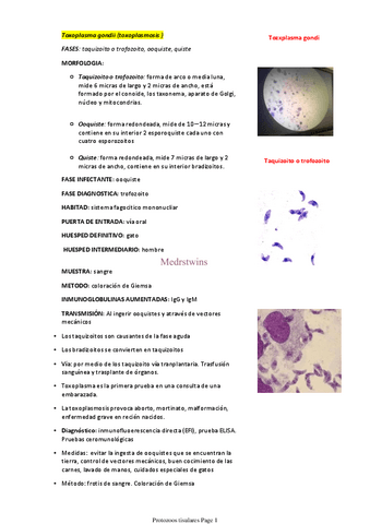 Protozoos-tisulares.pdf