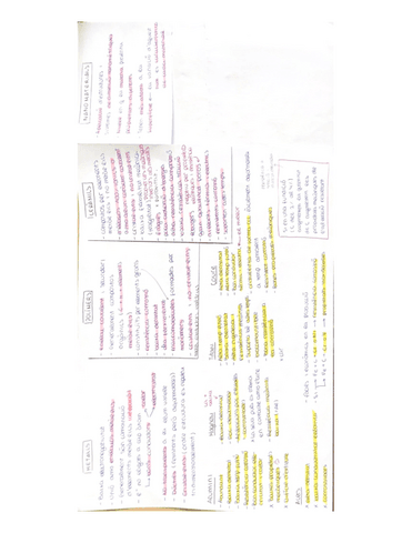 esquema-materials.pdf