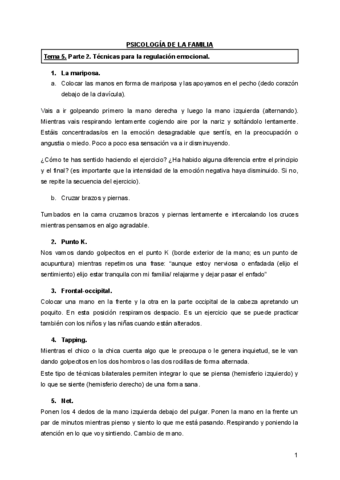 Tema-5-psicologia-de-la-familia-parte-2-tecnicas-Gonzalo.pdf