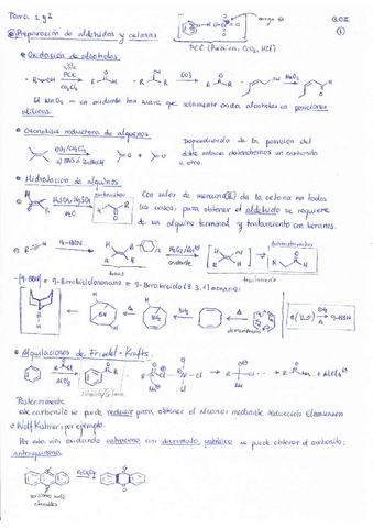 Teoria-Quimica-Organica-II-Temas-1-2-3.pdf