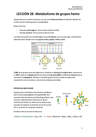 LECCION-28.-Metabolismo-de-grupos-hemo.pdf
