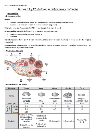 11-y-12.-Patologia-del-ovario-y-del-oviducto.pdf