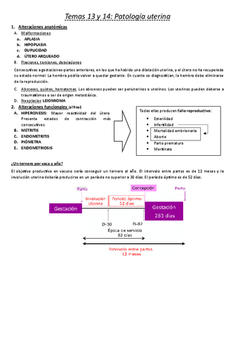 13-y-14.-Patologia-uterina.pdf