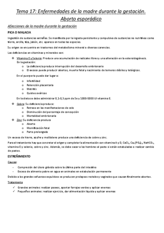 17.-Enfermedades-de-la-madre-durante-la-gestacion.pdf