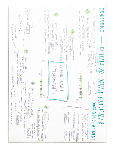 ESQUEMAtema-10-Condiciones-ambientales.pdf