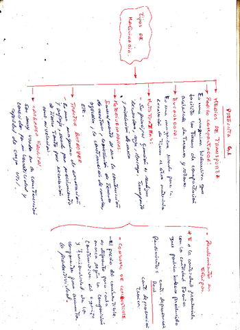 PC2-COMPLETO.pdf