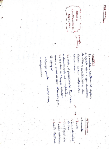 PREGUNTA-1-CONST-ESPECIAL.pdf