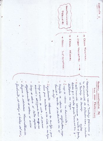 PREGUNTA-2-CONST-ESPECIAL.pdf