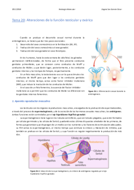 20. Alteraciones de la función testicular y ovárica .pdf
