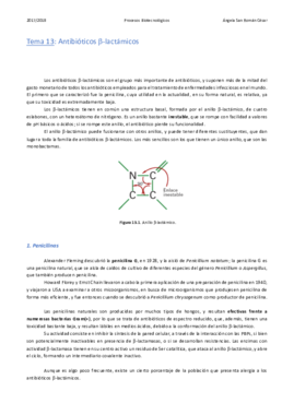 13. Antibióticos betalactámicos.pdf