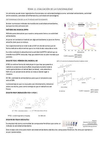 TEMA-11.pdf