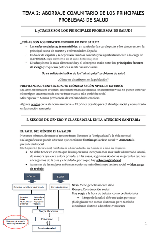 Tema-2-Abordaje-comunitario-de-los-principales-problemas-de-salud.pdf