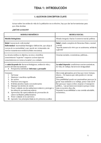 Tema-1-Introduccion.pdf