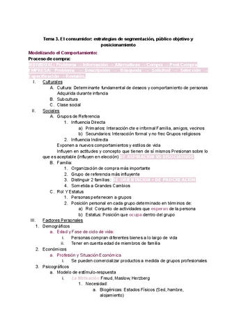 Tema-3.-El-consumidor-estrategias-de-segmentacion-publico-objetivo-y-posicionamiento.pdf