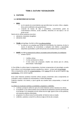 TEMA 3.pdf