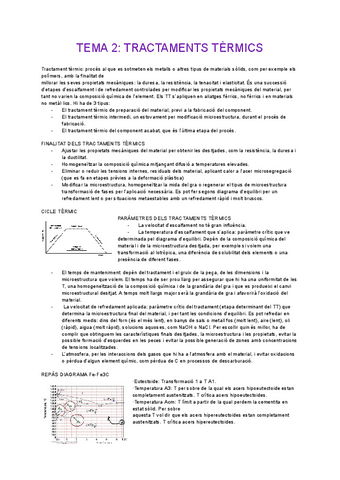 TEMA-2-TRACTAMENTS-TERMICS.pdf