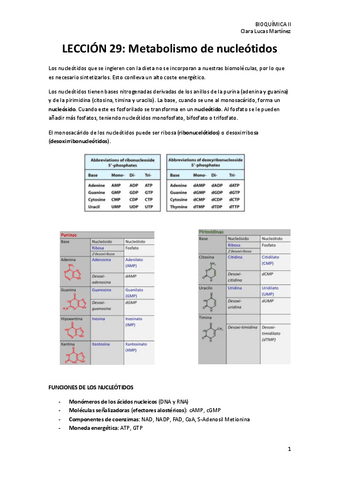 LECCION-29.-Sintesis-de-nucleotidos.pdf