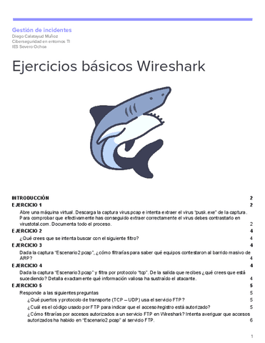 Ejercicios-basicos-Wireshark.pdf