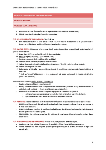 Practiques-Nuria-Caballe.pdf