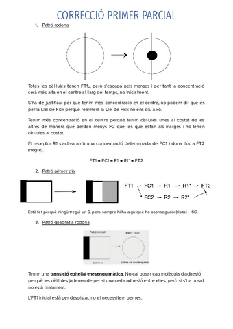 CORRECCIO-PRIMER-PARCIAL.pdf