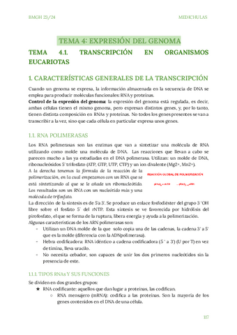 TEMA-4-BMG.pdf