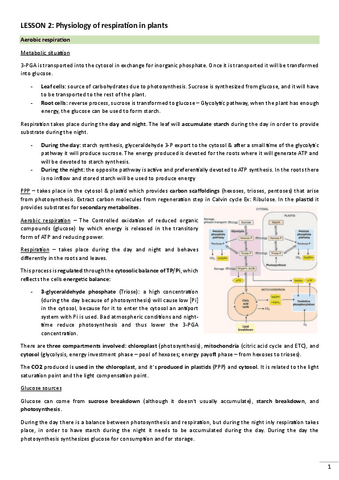 Lesson-2.app.pdf