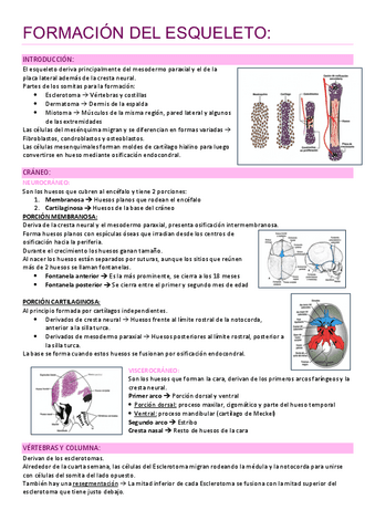 Embriologia-temas-8-y-9.pdf