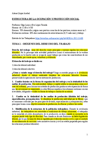 ESTRUCTURA-DE-LA-OCUPACION-Y-PROTECCION-SOCIAL.pdf