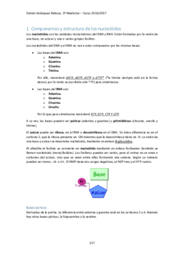 TEMA 8. METABOLISMO DE NUCLEÓTIDOS.pdf