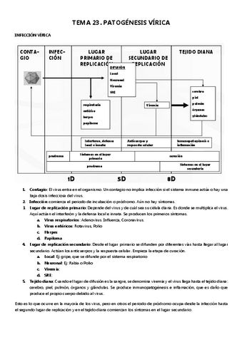 Micro-II-tema-23.pdf