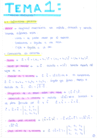 Apuntes Fisica Esculea.pdf
