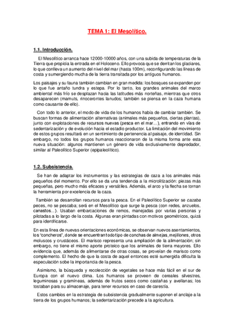 Prehistoria-II-RESUMEN-COMPLETO.pdf