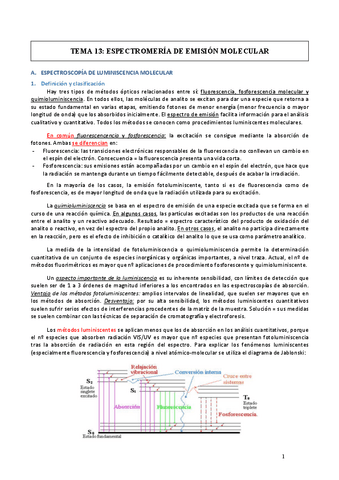 TEMA-13.pdf