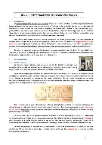 TEMA-11.pdf