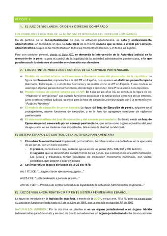 TEMA 8 PENITENCIARIA.pdf