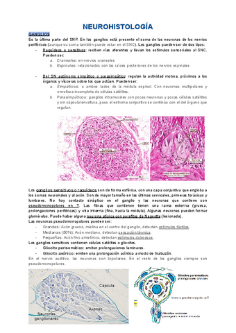 5.2-Neurohistologia-Ganglios-medula-espinal-SNV.pdf