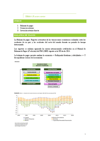 TEMA-6.pdf