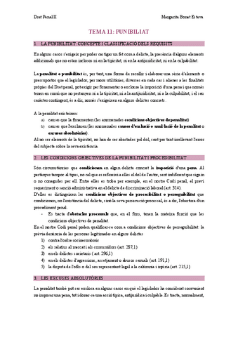 tema-11-penal-COMPLETO.pdf