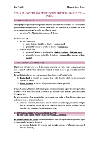 tema-13-penal-COMPLETO.pdf