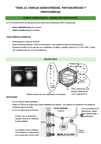 Micro-II-tema-25.pdf