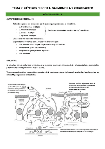 Micro-II-tema-7.pdf
