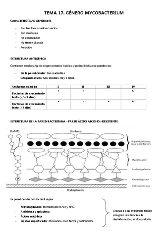 Micro-II-tema-17.pdf