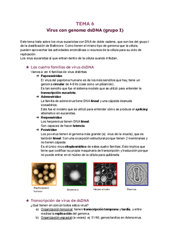tema-6-virus-dsDNA.pdf