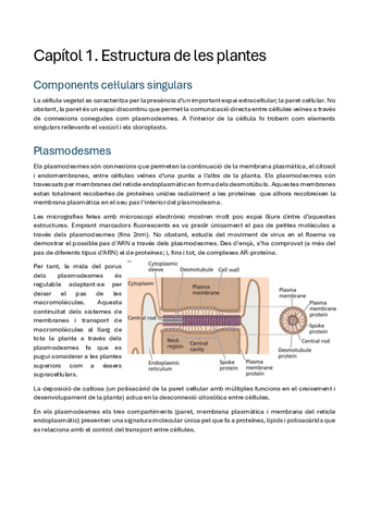 Fisio-vegetal-tema-1.pdf