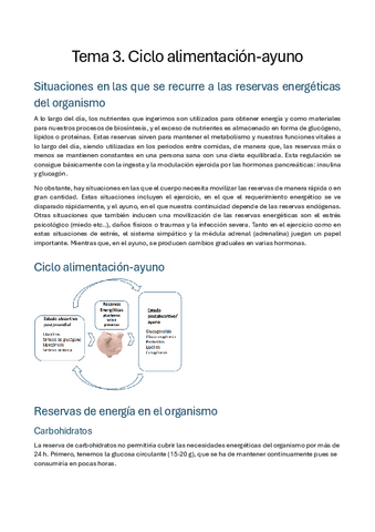 Tema-3.-Ciclo-alimentacion-ayuno.pdf