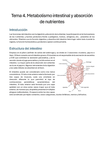 Tema-4.-Metabolismo-intestinal-y-absorcion.pdf
