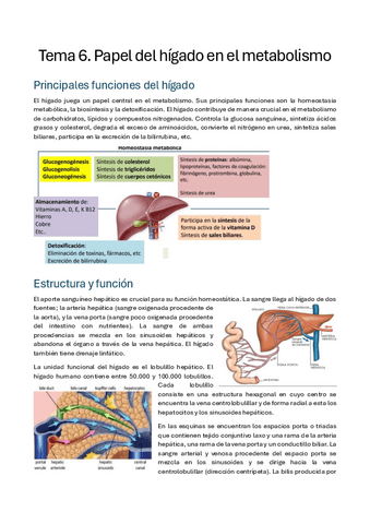 Tema-6.1-Papel-central-del-higado-en-el-metabolismo.pdf