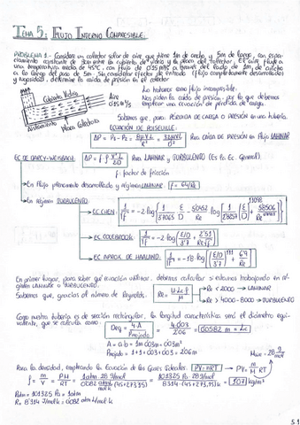 M. FLUIDOS: T.5 (Flujo Interno Incompresible).pdf